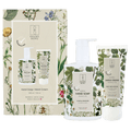Gaveæske Fragrance Free Hand Soap + Hand Cream