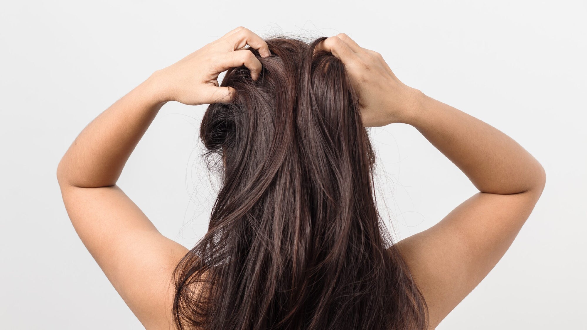 Hvor ofte kan jeg vaske mit hår med shampoo?