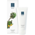 Face Scrub (2. sortering)